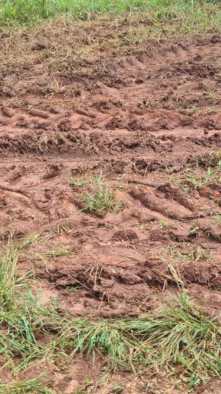 Fazenda à venda de 438 ha em Araraquara, SP, Brasil
