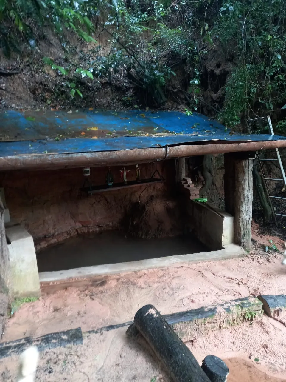 Fazenda à venda de 438 ha em Araraquara, SP, Brasil