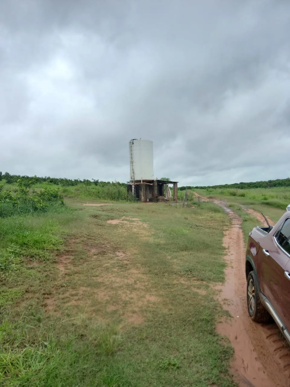 Fazenda à venda de 438 ha em Araraquara, SP, Brasil
