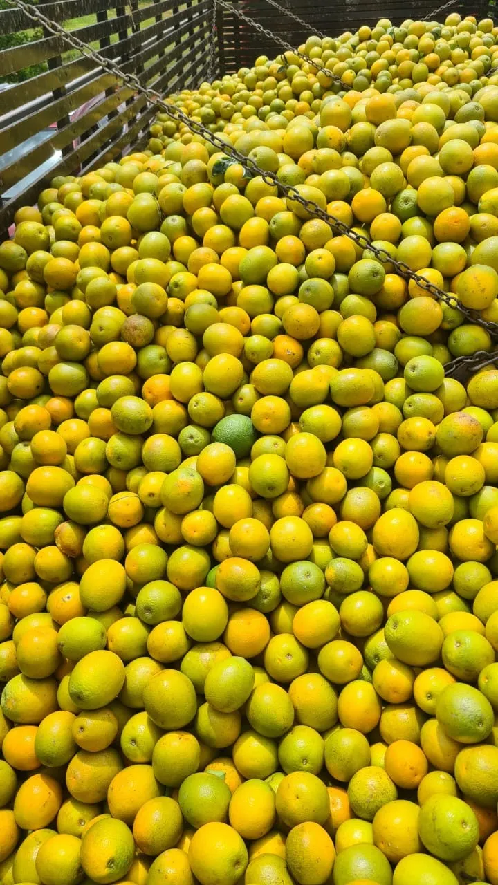 Fazenda à venda de 438 ha em Araraquara, SP, Brasil