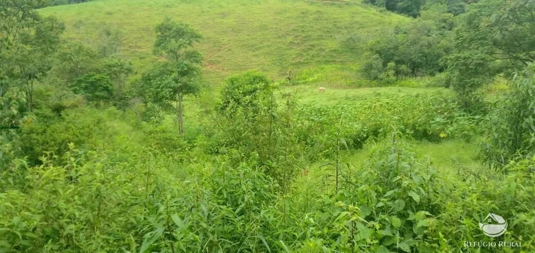 Terreno à venda de 3 ha em São José dos Campos, SP, Brasil