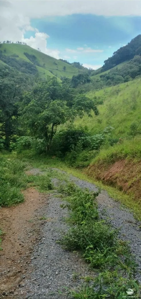 Terreno à venda de 3 ha em São José dos Campos, SP, Brasil