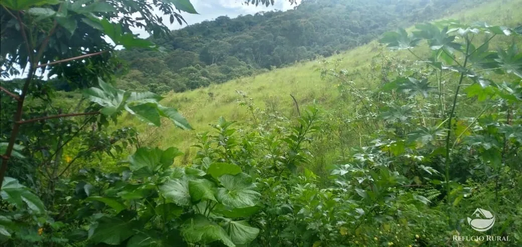 Terreno à venda de 3 ha em São José dos Campos, SP, Brasil