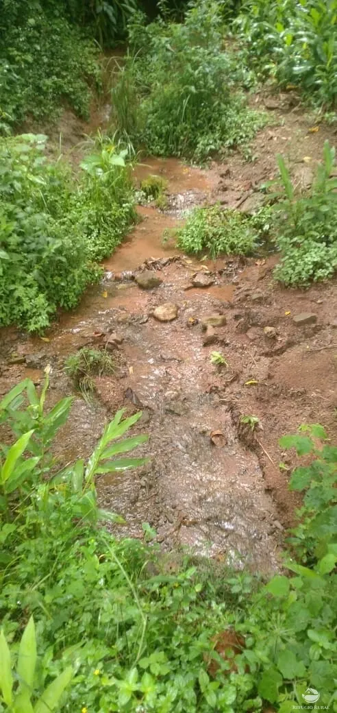 Terreno à venda de 3 ha em São José dos Campos, SP, Brasil