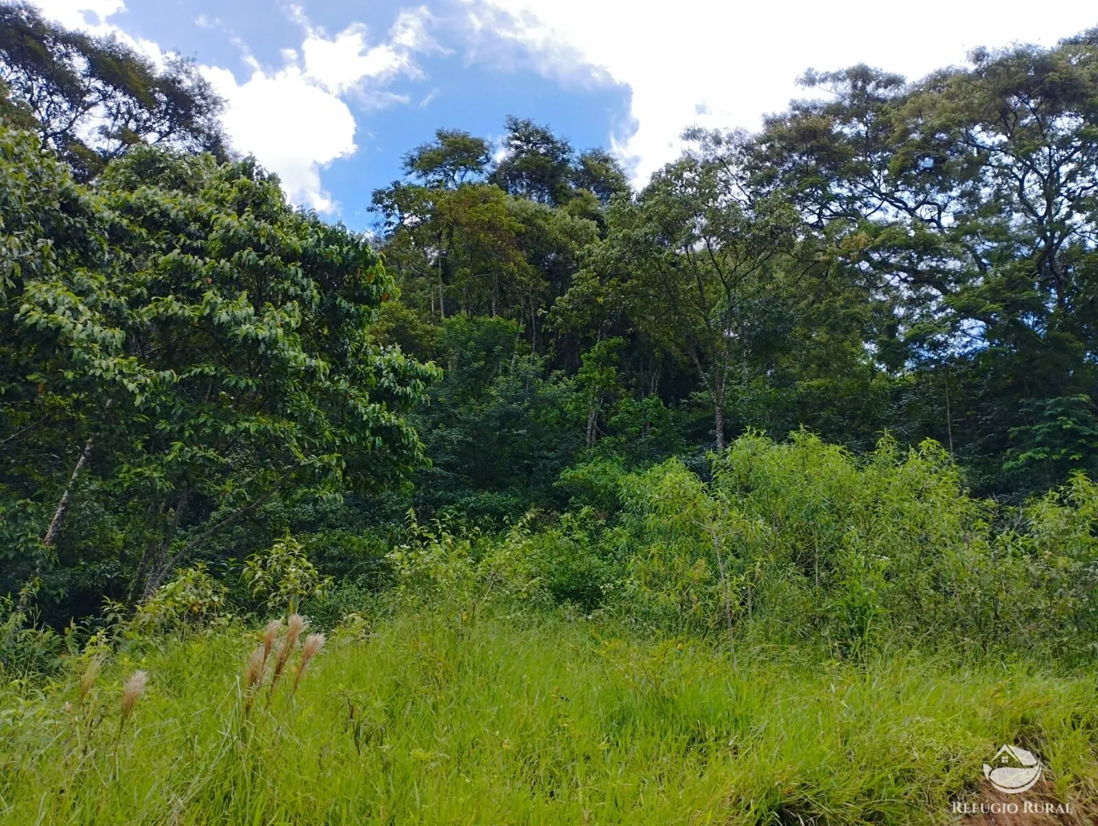 Terreno à venda de 3 ha em São José dos Campos, SP, Brasil