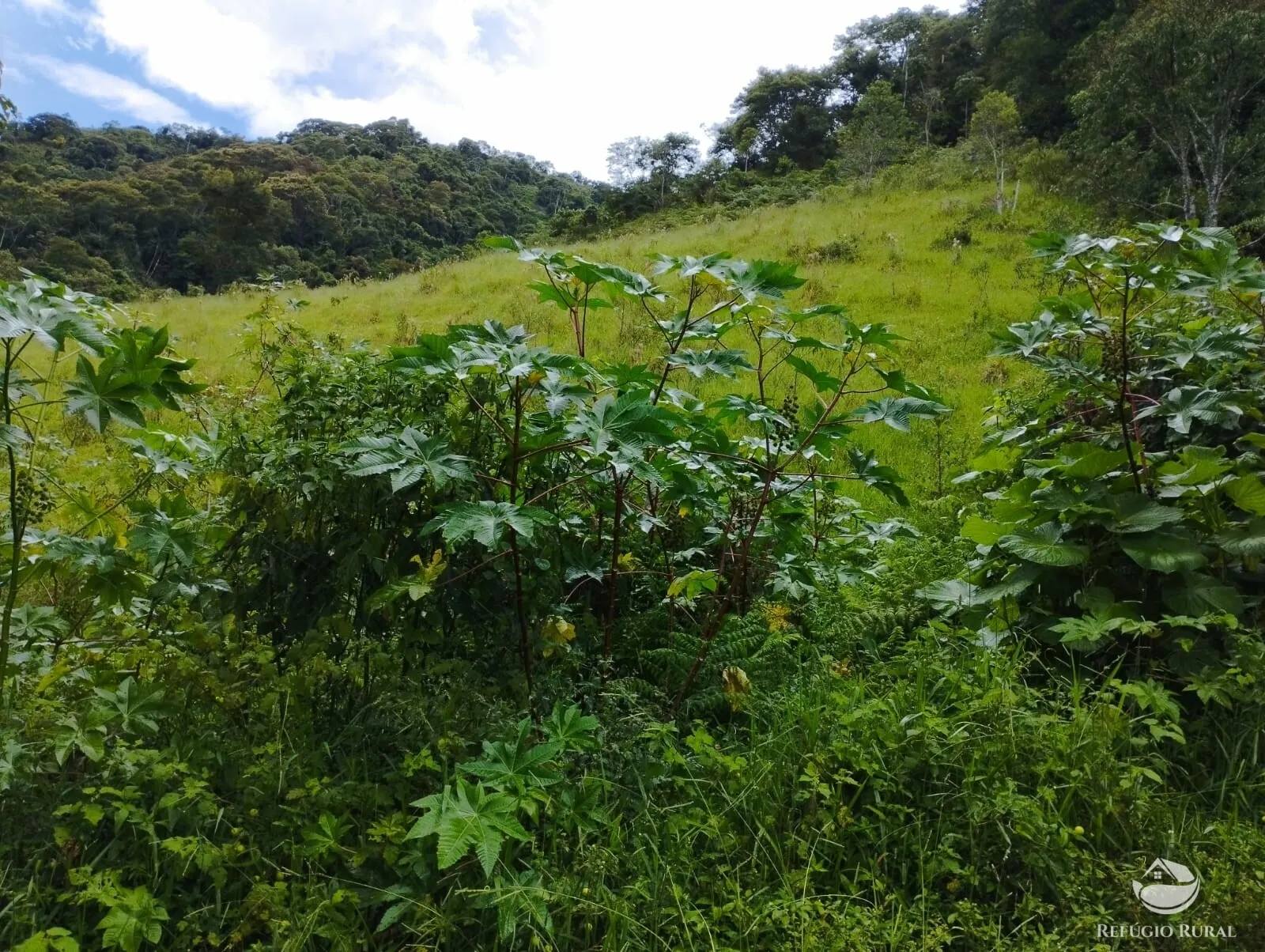 Terreno à venda de 3 ha em São José dos Campos, SP, Brasil