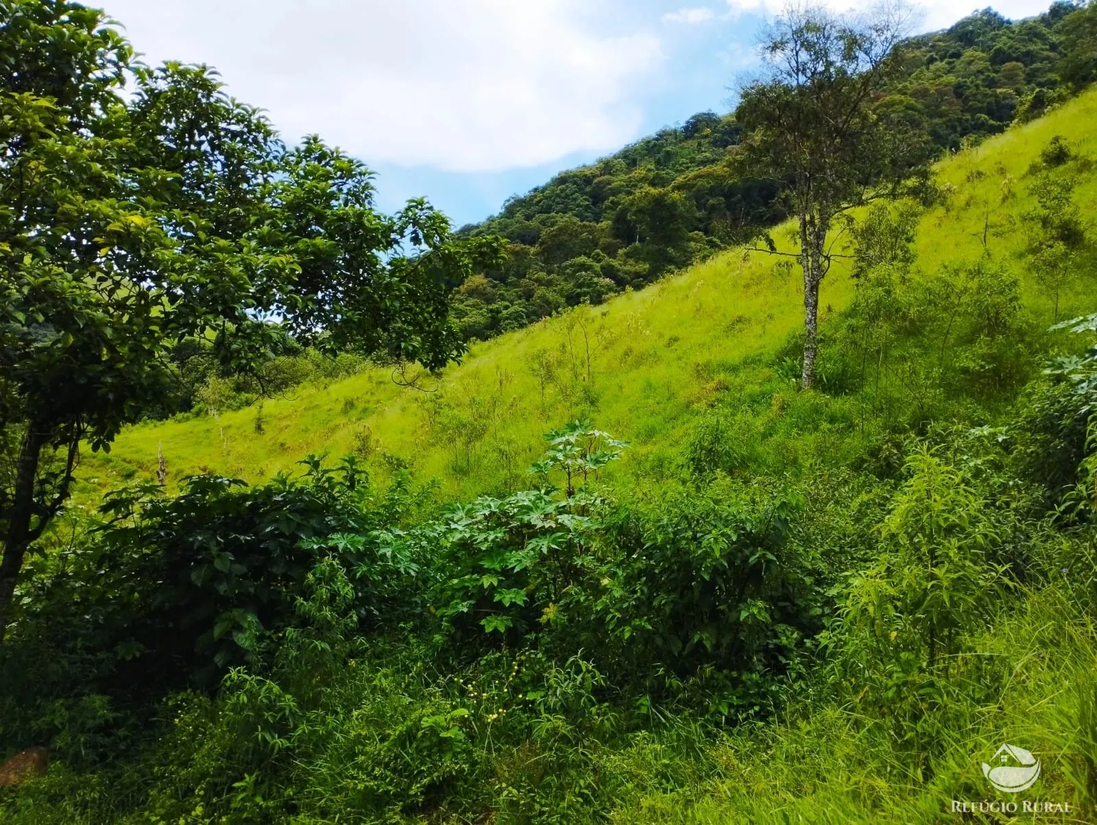 Terreno à venda de 3 ha em São José dos Campos, SP, Brasil