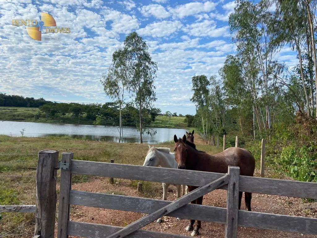 Small farm for sale of 99 acres in Várzea Grande, MT, Brazil