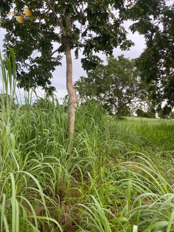 Small farm for sale of 99 acres in Várzea Grande, MT, Brazil