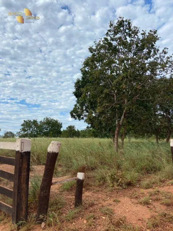 Small farm for sale of 99 acres in Várzea Grande, MT, Brazil