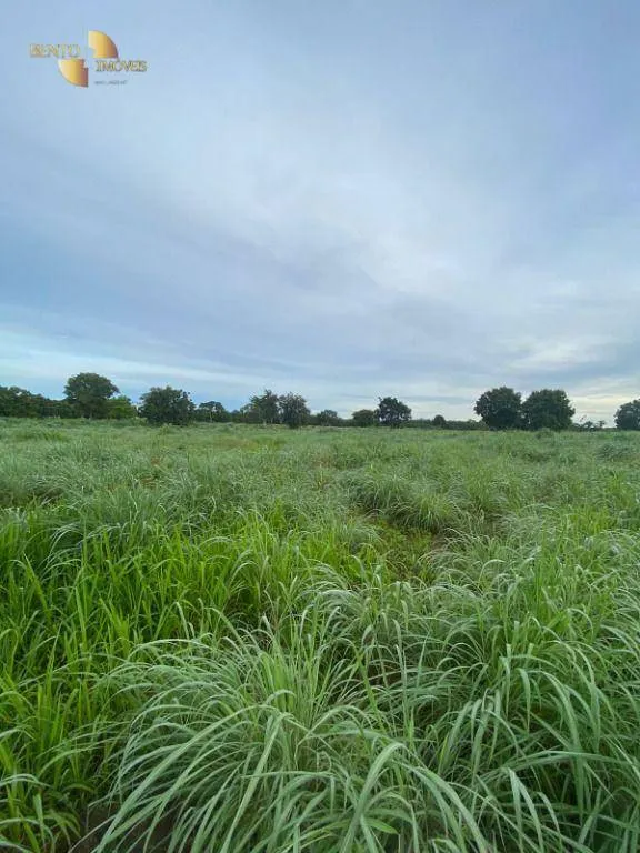 Small farm for sale of 99 acres in Várzea Grande, MT, Brazil