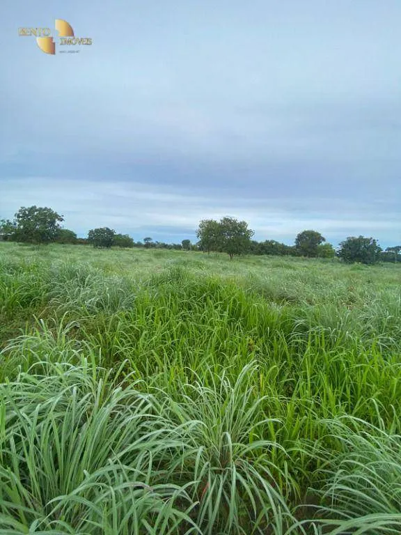 Small farm for sale of 99 acres in Várzea Grande, MT, Brazil