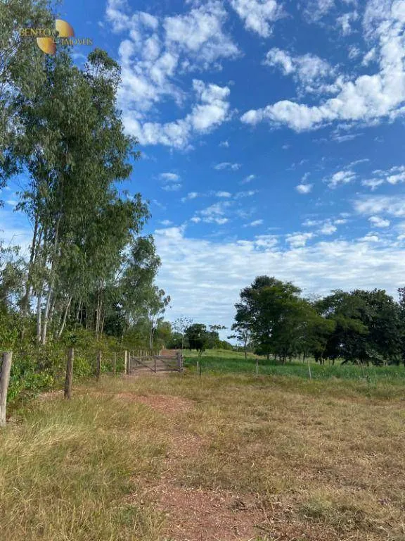 Small farm for sale of 99 acres in Várzea Grande, MT, Brazil