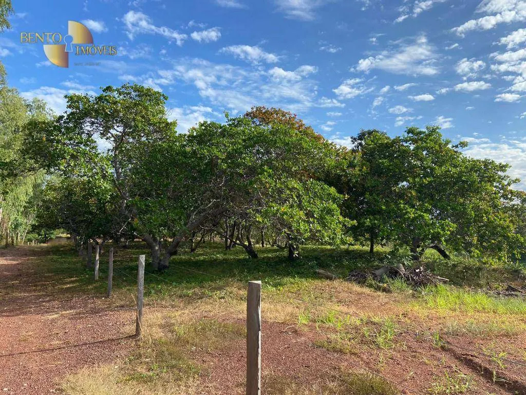 Small farm for sale of 99 acres in Várzea Grande, MT, Brazil