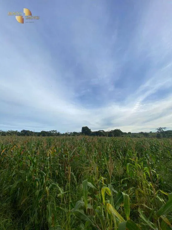 Small farm for sale of 99 acres in Várzea Grande, MT, Brazil