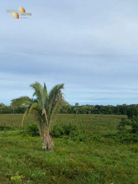 Small farm for sale of 99 acres in Várzea Grande, MT, Brazil