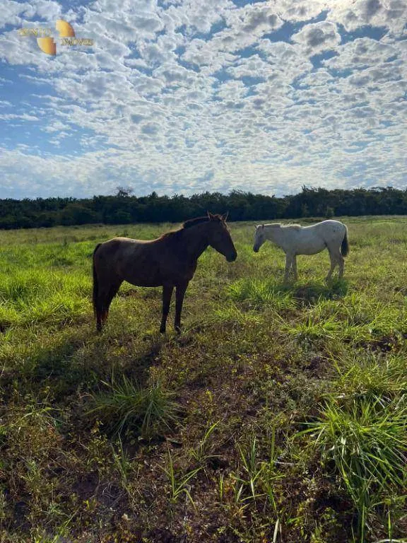 Small farm for sale of 99 acres in Várzea Grande, MT, Brazil