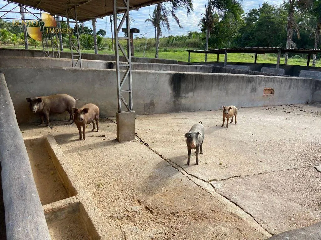 Small farm for sale of 99 acres in Várzea Grande, MT, Brazil