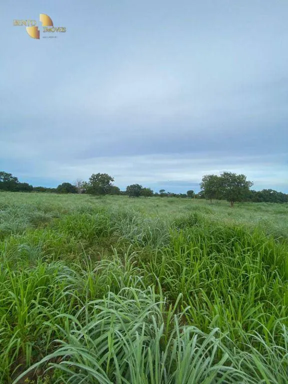 Small farm for sale of 99 acres in Várzea Grande, MT, Brazil
