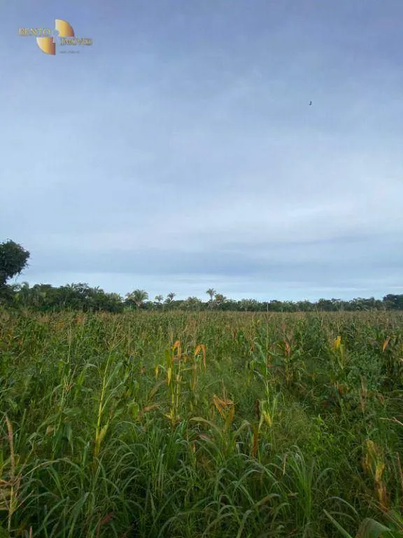 Small farm for sale of 99 acres in Várzea Grande, MT, Brazil