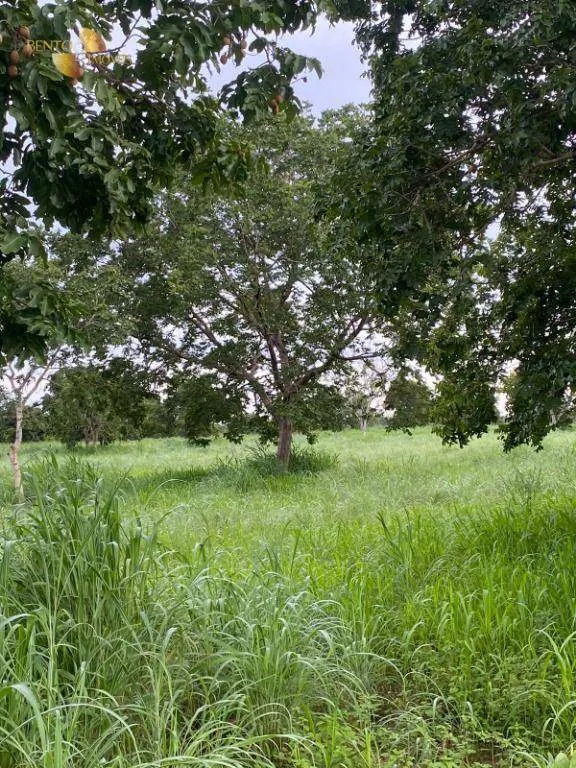 Small farm for sale of 99 acres in Várzea Grande, MT, Brazil