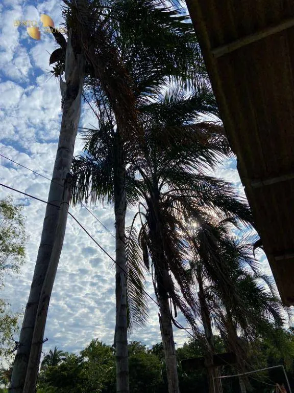 Small farm for sale of 99 acres in Várzea Grande, MT, Brazil