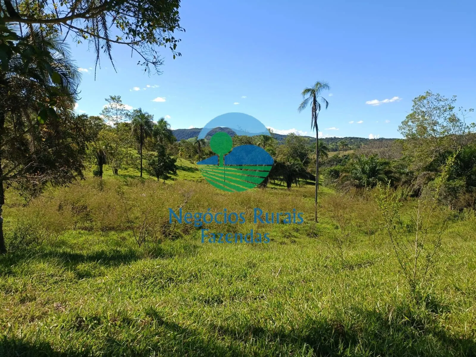 Small farm for sale of 237 acres in Hidrolândia, GO, Brazil