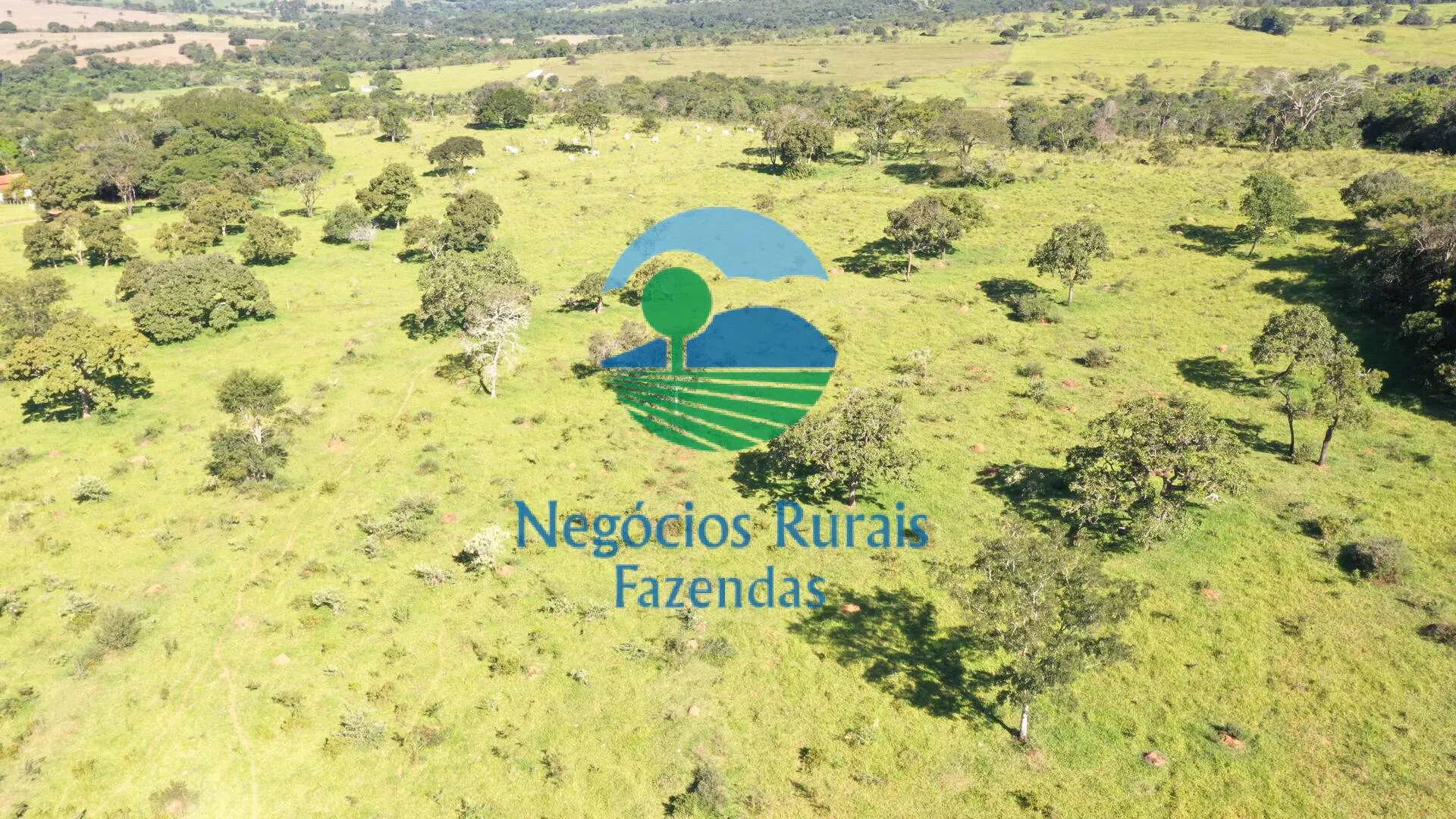 Small farm for sale of 237 acres in Hidrolândia, GO, Brazil