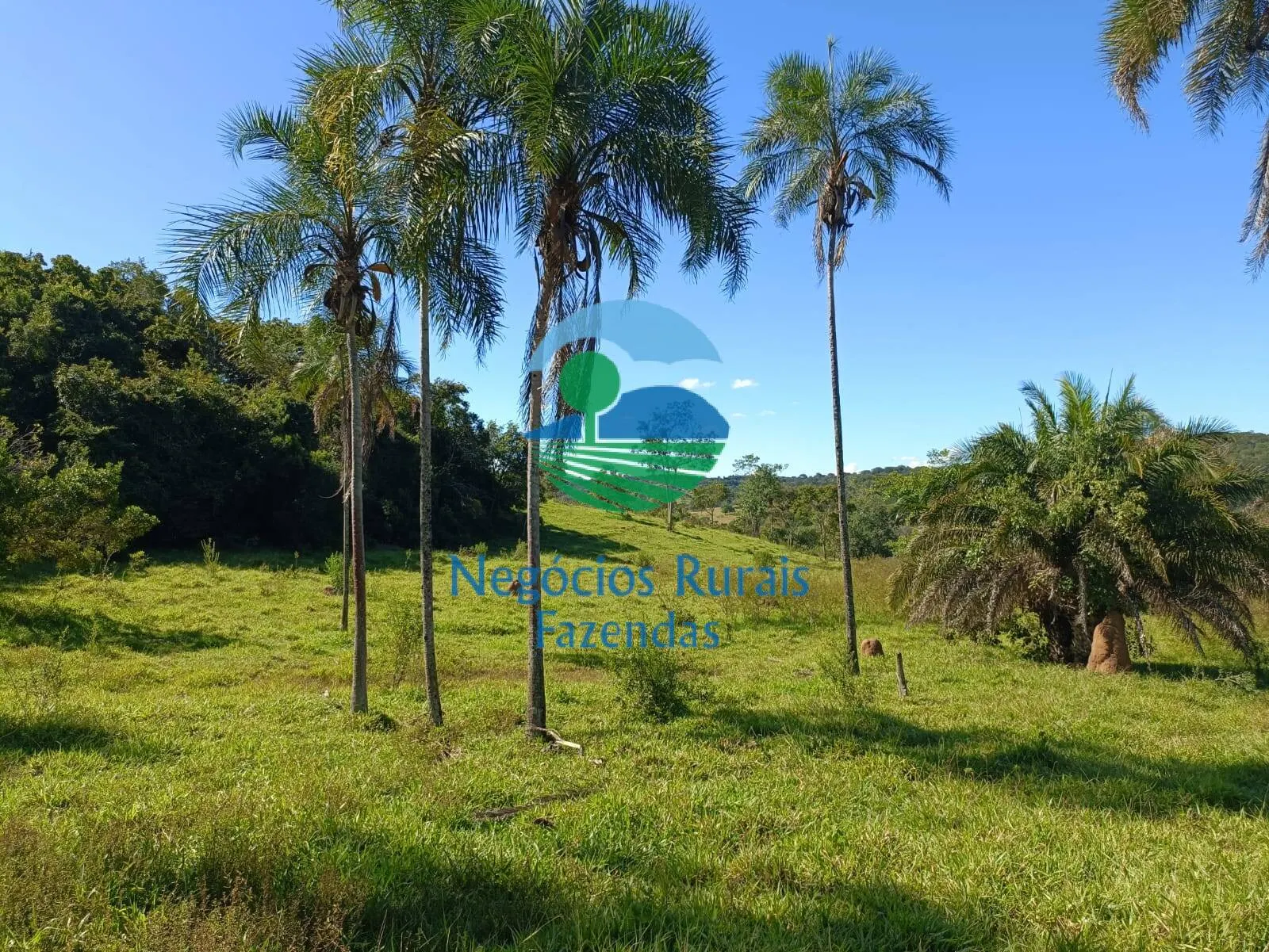 Small farm for sale of 237 acres in Hidrolândia, GO, Brazil