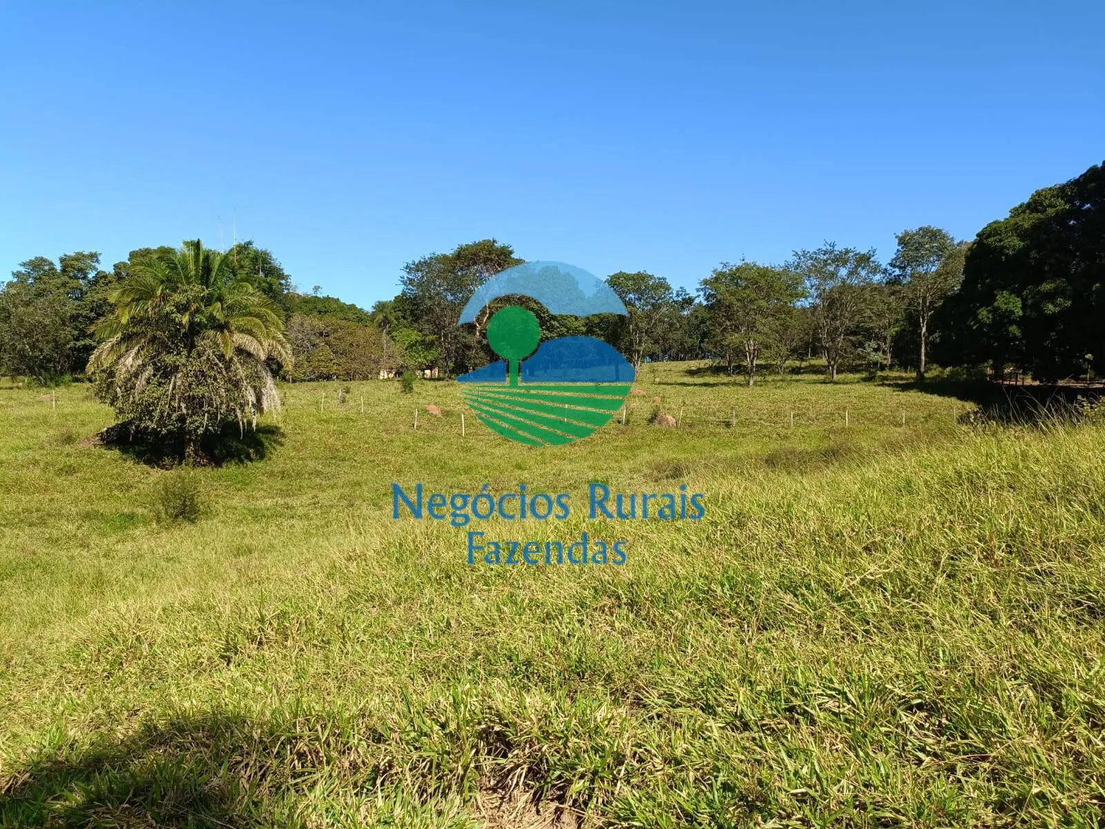 Small farm for sale of 237 acres in Hidrolândia, GO, Brazil