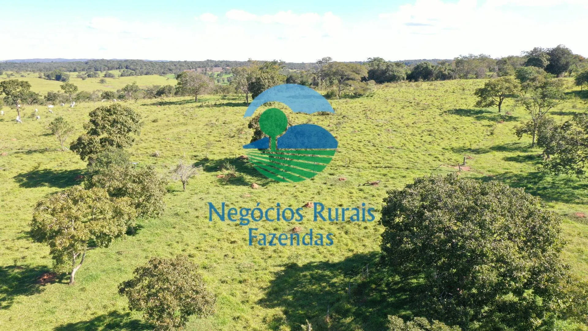 Small farm for sale of 237 acres in Hidrolândia, GO, Brazil