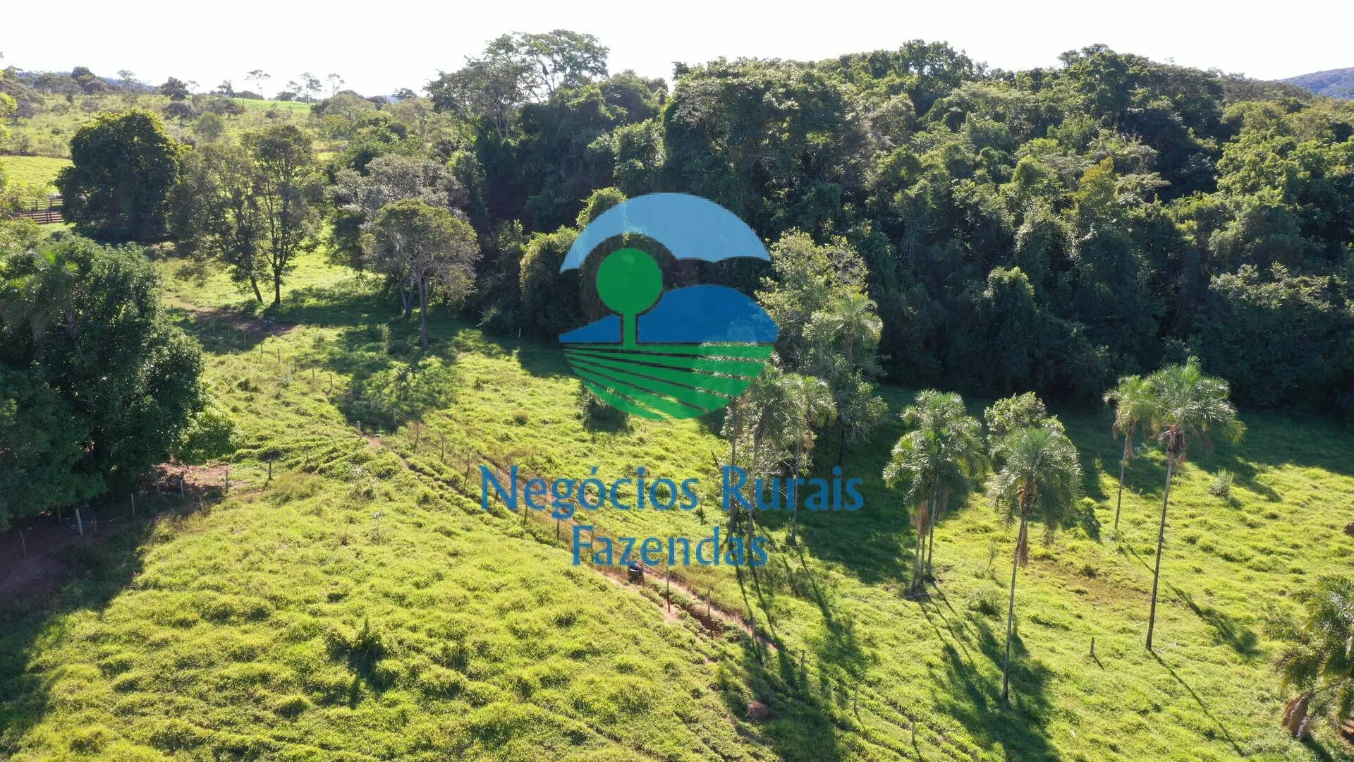 Small farm for sale of 237 acres in Hidrolândia, GO, Brazil