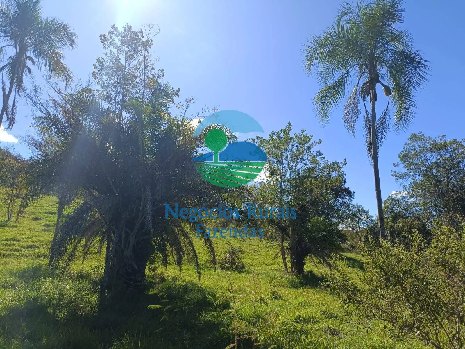 Small farm for sale of 237 acres in Hidrolândia, GO, Brazil