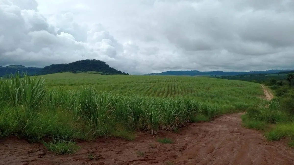 Fazenda à venda de 85 ha em São Carlos, SP, Brasil