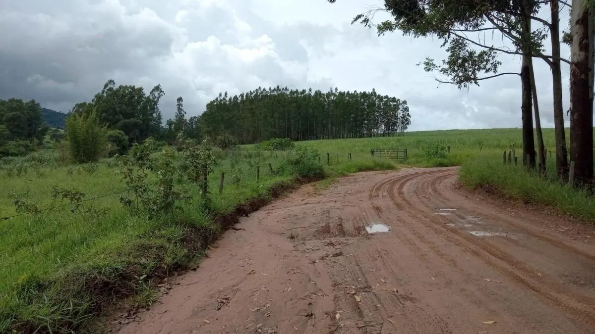 Fazenda à venda de 85 ha em São Carlos, SP, Brasil