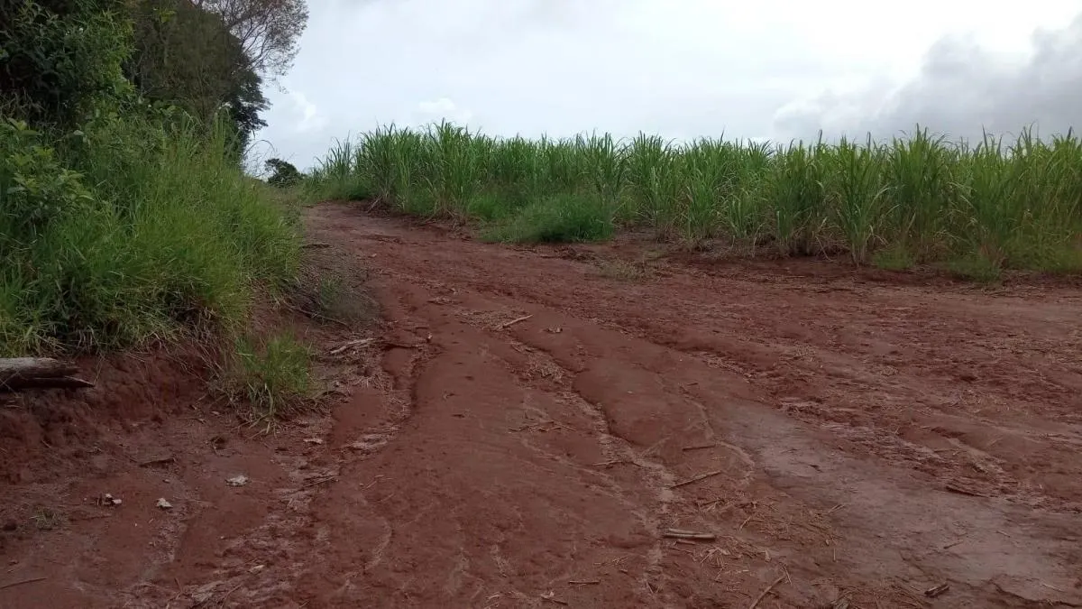 Fazenda à venda de 85 ha em São Carlos, SP, Brasil