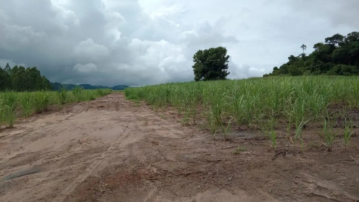 Fazenda à venda de 85 ha em São Carlos, SP, Brasil