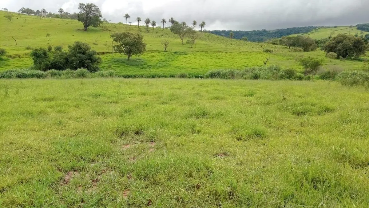 Fazenda à venda de 85 ha em São Carlos, SP, Brasil