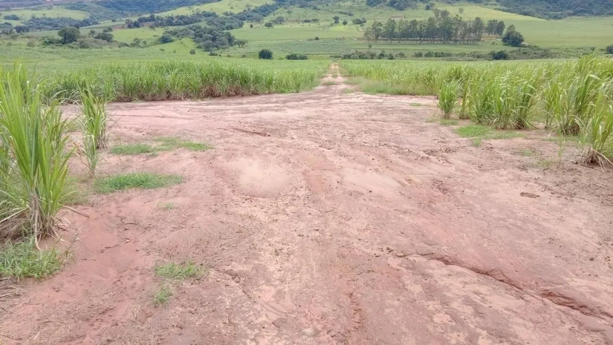 Fazenda à venda de 85 ha em São Carlos, SP, Brasil