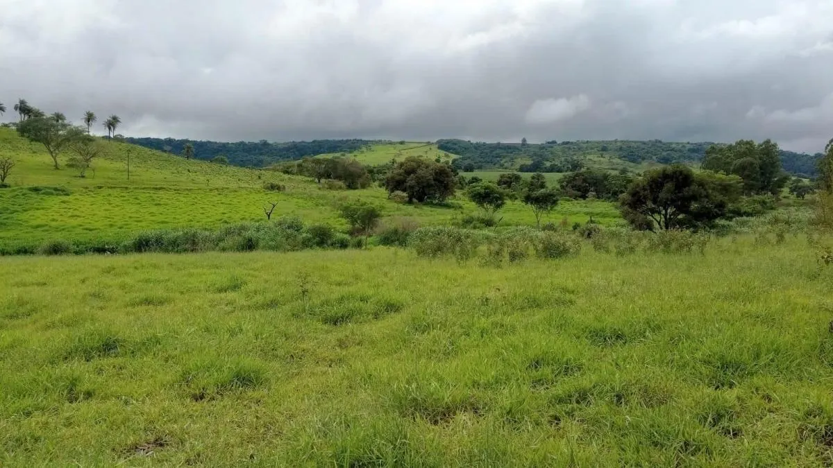 Fazenda à venda de 85 ha em São Carlos, SP, Brasil