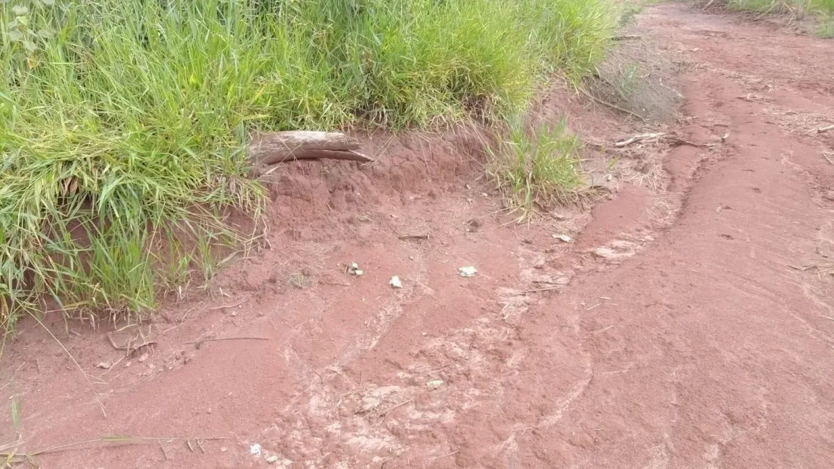 Fazenda à venda de 85 ha em São Carlos, SP, Brasil