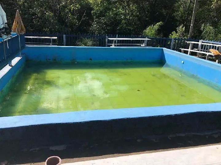 Small farm for sale of 54 acres in Igrejinha, RS, Brazil