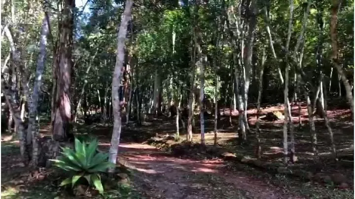 Small farm for sale of 54 acres in Igrejinha, RS, Brazil