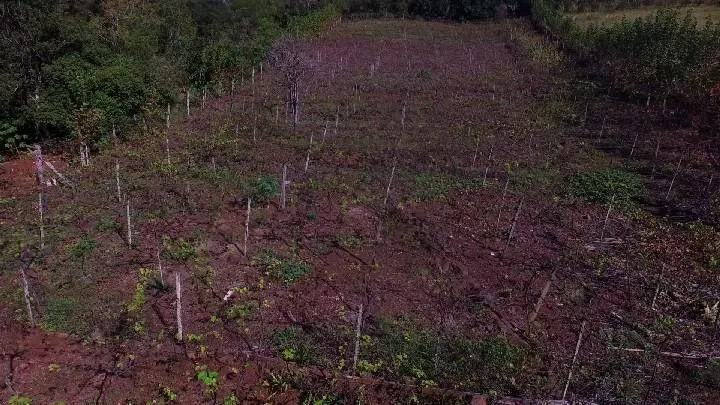 Small farm for sale of 54 acres in Igrejinha, RS, Brazil