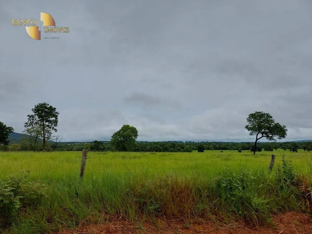 Fazenda à venda de 726 ha em Porto Estrela, MT, Brasil
