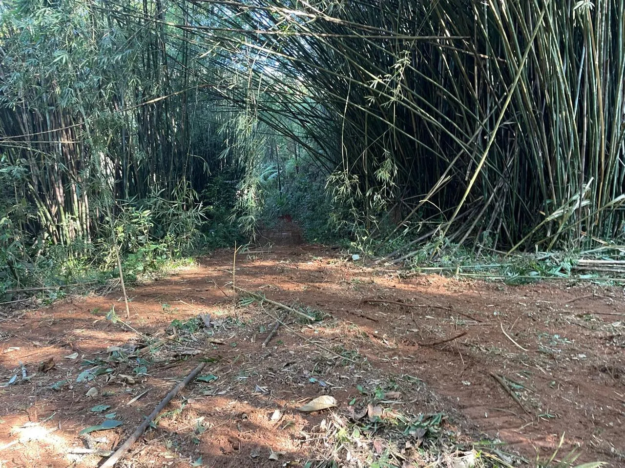 Plot for sale of 6 acres in São José dos Campos, SP, Brazil