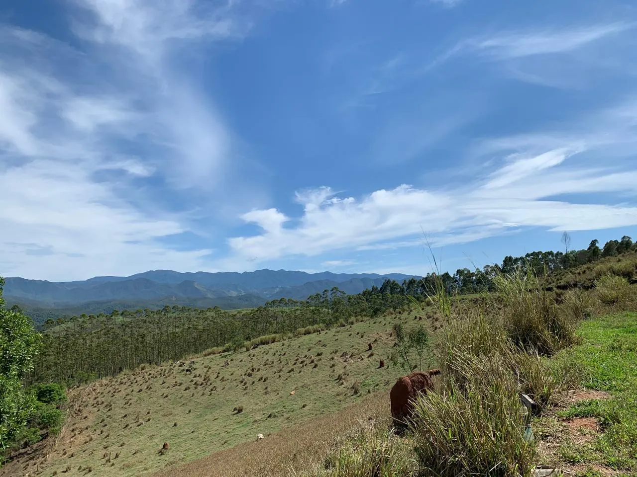 Plot for sale of 6 acres in São José dos Campos, SP, Brazil