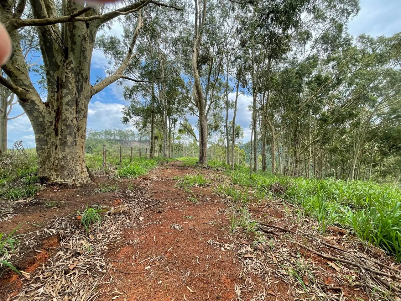 Plot for sale of 6 acres in São José dos Campos, SP, Brazil