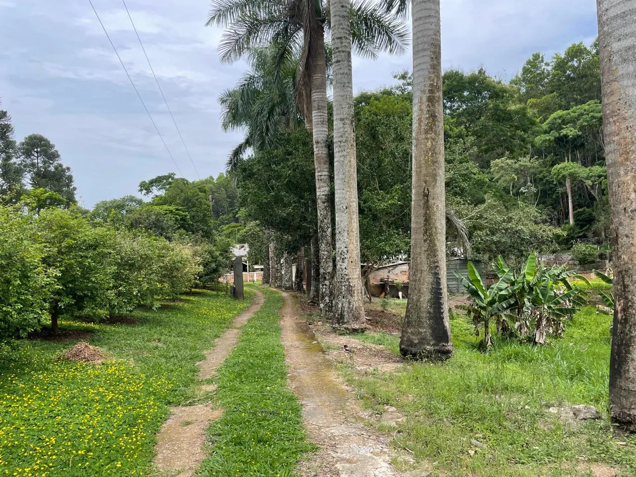 Plot for sale of 6 acres in São José dos Campos, SP, Brazil
