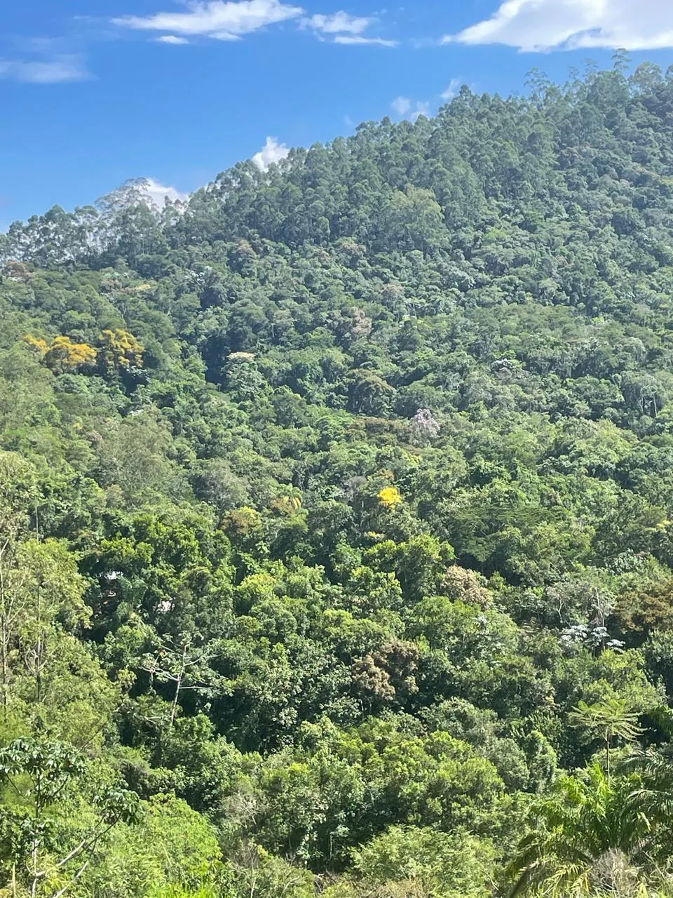 Plot for sale of 6 acres in São José dos Campos, SP, Brazil